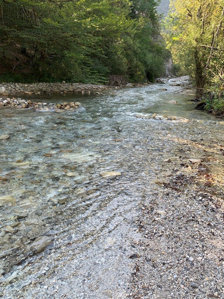 img 20240902 wa0059