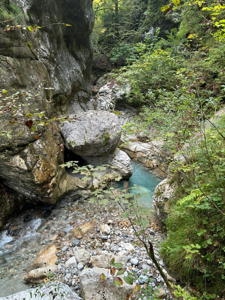 img 20240911 wa0157