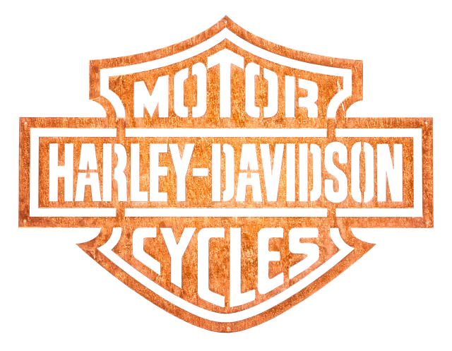 emblem, engine, cycles, harley davidson, harley, davidson, usa, motorcycle, rocker, leisure time, logo, isolated, harley davidson, harley davidson, harley davidson, harley davidson, harley davidson, harley, logo
